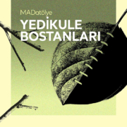 Madatölye YEDİKULE BOSTANLARI Madatölye YEDİKULE BOSTANLARI