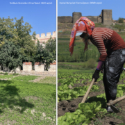 yedikule_hevsel iki fotoğraf yan yana koyulmuş. solda yedikule bostanlarını ve kara surlarını gösteren bir fotoğraf yer alıyor. fotoğraf kredisi onur temel, mad arşivi. sağda hevsel bahçelerini gösteren bir fotoğraf yer alıyor. bostanda çalışan kadınlar ve arkada surlar görünüyor. fotoğraf kredisi fatma işmen, dkvd arşivi