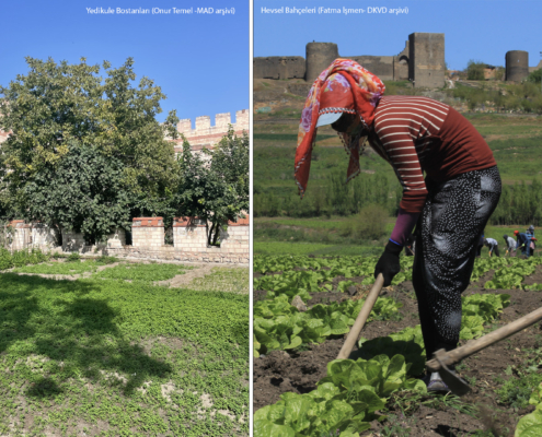iki fotoğraf yan yana koyulmuş. solda yedikule bostanlarını ve kara surlarını gösteren bir fotoğraf yer alıyor. fotoğraf kredisi onur temel, mad arşivi. sağda hevsel bahçelerini gösteren bir fotoğraf yer alıyor. bostanda çalışan kadınlar ve arkada surlar görünüyor. fotoğraf kredisi fatma işmen, dkvd arşivi