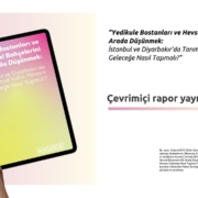 rapor_cc_website